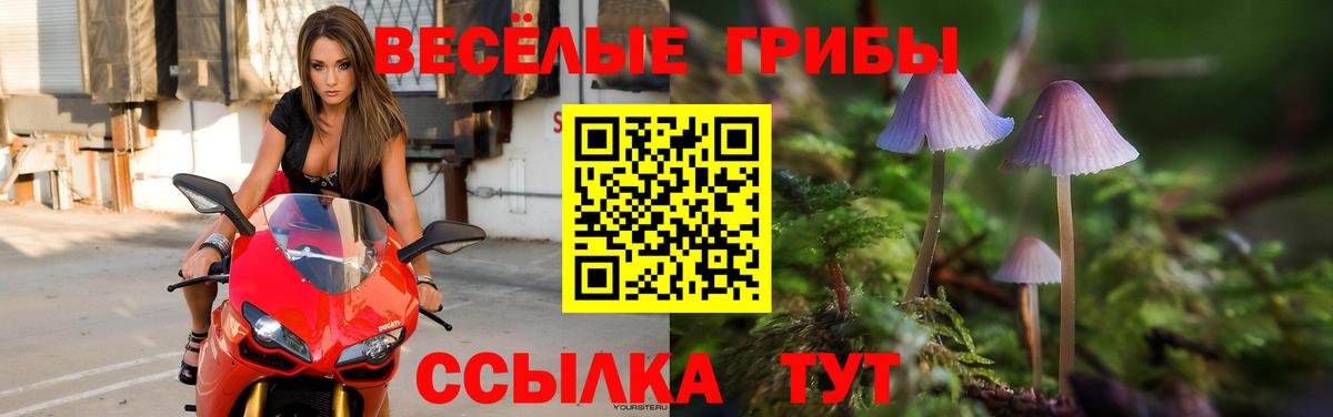 Тамбов  Псилоцибиновые грибы Psilocybine cubensis  Псилоцибиновые грибы мицелий  Вход с VPN 